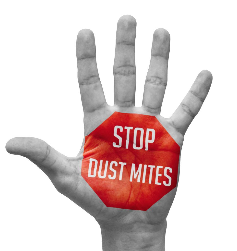 Stop Dust Mites | Custom Air Systems